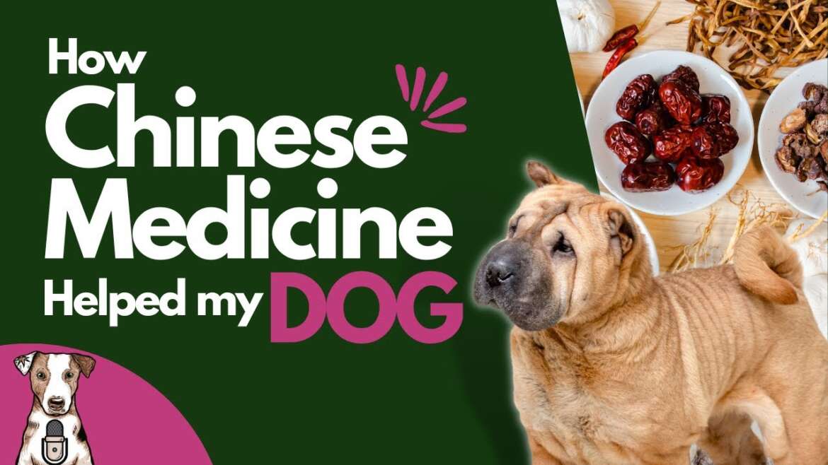 10 Ways to Unlock the Healing Power of Chinese Herbs for Dogs | Transform Your Dog’s Health with Proven Remedies!