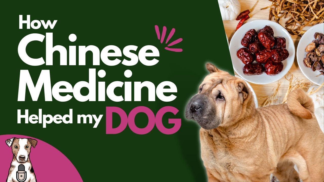 10 Ways to Unlock the Healing Power of Chinese Herbs for Dogs | Transform Your Dog’s Health with Proven Remedies!