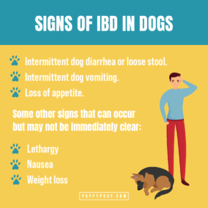 Inflammatory Bowel Disease in Dogs