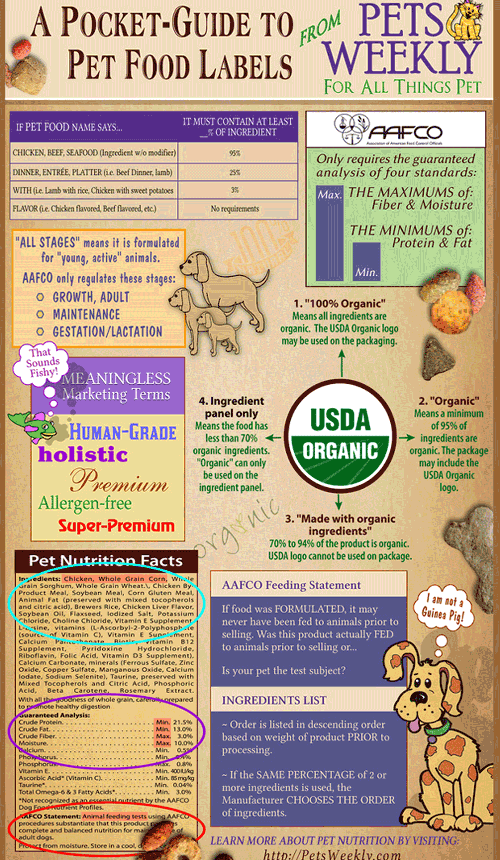 5 Essential Steps to Mastering the Understanding Dog Food Labels Like a Pro | What You Must Know Before Your Next Purchase!