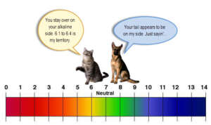 7 Surprising Benefits of an Alkaline Diet for Dogs You Need to Know!