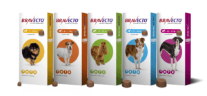 5 Powerful Insights: Bravecto for Dogs vs. Natural Flea Killers – Which Option is Best?