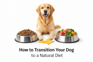 How to Transition Your Dog to a Natural Diet (Step-by-Step Guide)