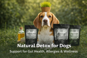 natural detox for dogs