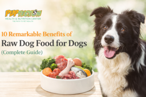 10 Remarkable Benefits of Raw Dog Food: A Comprehensive Guide