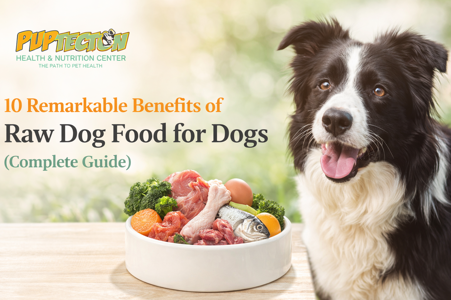 10 Remarkable Benefits of Raw Dog Food for Dogs (Complete Guide)