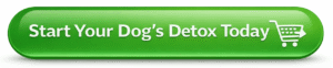 Start your dog's detox today button for natural dog detox system supporting gut health and toxin removal